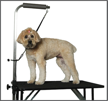 Alessi Groomers Helper Dog Holder for Grooming Dog Haunch Holders Dog Not Sit Holders 